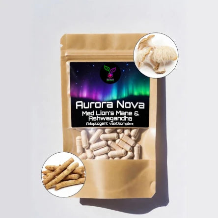 Aurora Nova